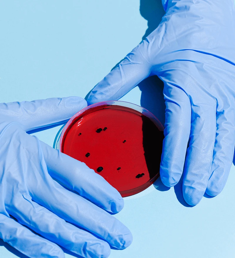 Measurement of Pickup Ions in the near-Earth Solar Wind